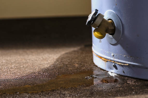 Best Carpet water damage restoration  in Riverdale, UT