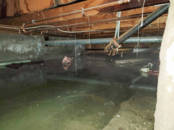 Water damage restoration mold remediation in UT