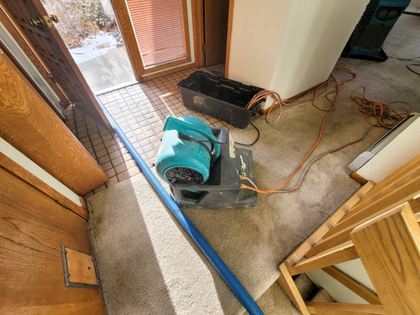 Best Water damage cleanup near me  in Riverdale, UT