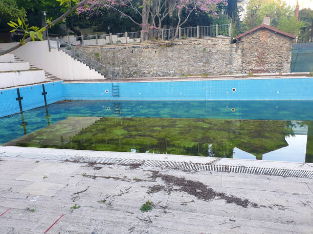 Best Flood restoration services  in Riverdale, UT