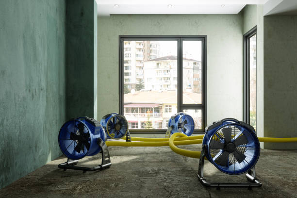 Best Emergency water damage restoration  in Riverdale, UT